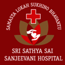Partner Organization 5